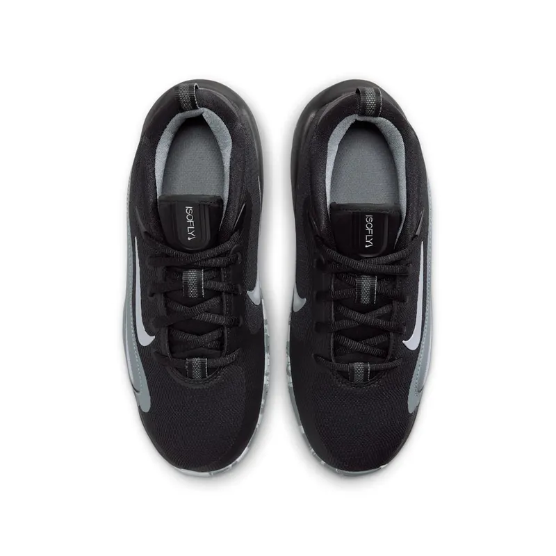 Nike IsoFly Black Cool Grey White Wolf Grey (FN4384-001)