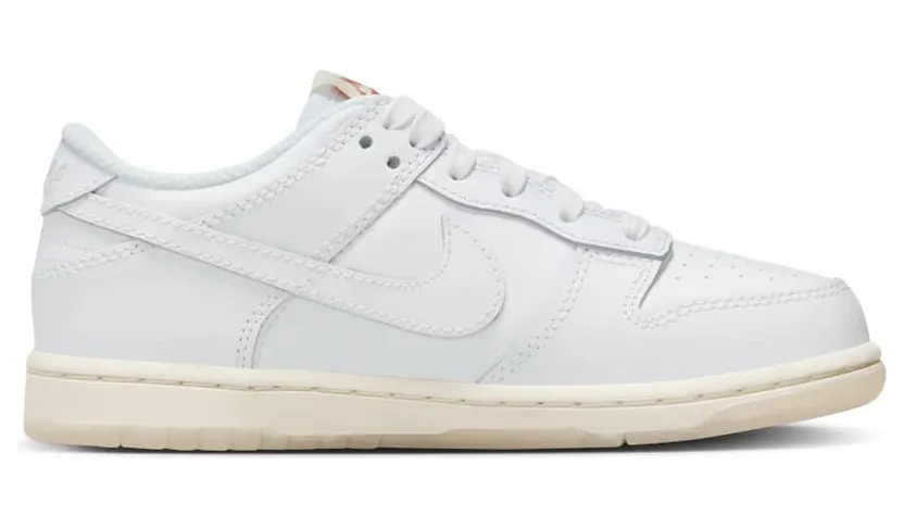 nike-dunk FN4862-100