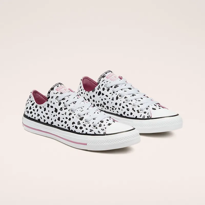 converse-chuck-taylor-all-star 169016C