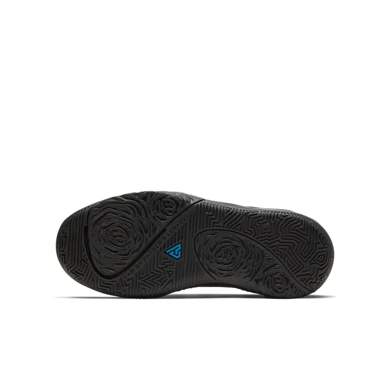 Nike Zoom Freak 1 Black Multi Photo Blue (BQ5633-004)