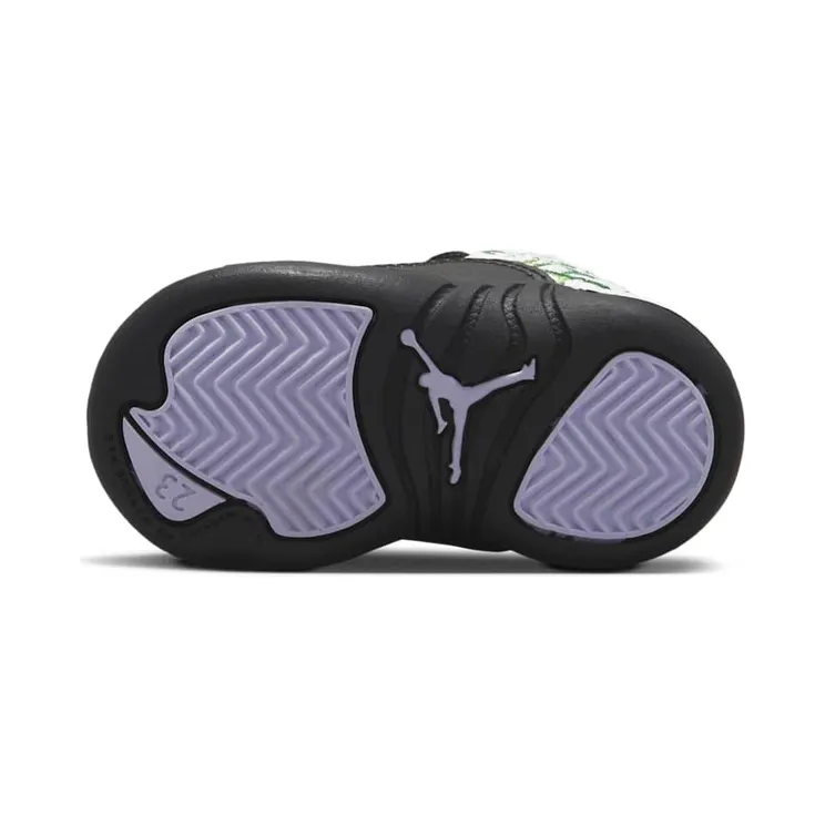 air-jordan-12 DR6955-100
