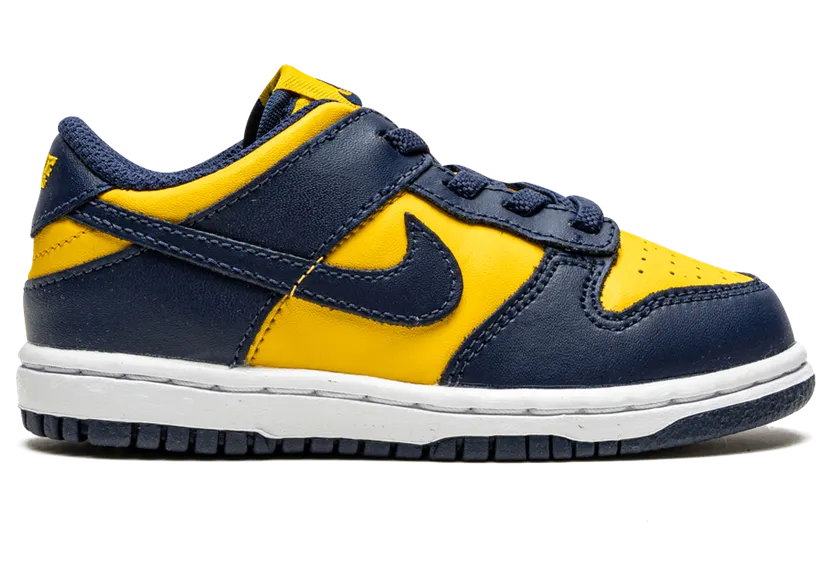 nike-dunk CW1589-700
