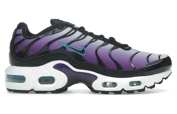 Nike Air Max Plus Reverse Grape (FQ2412-500)