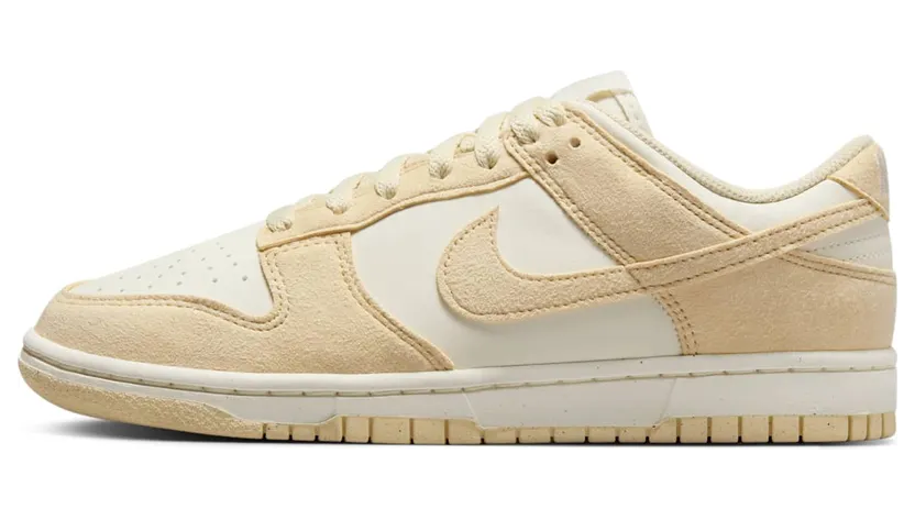 Nike Dunk Low HJ7673-004