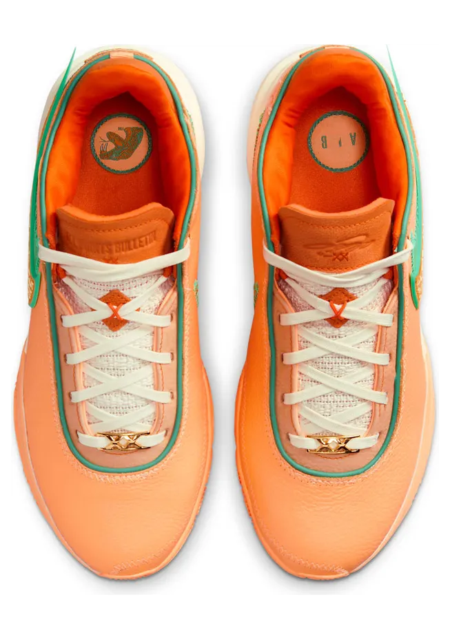 nike-lebron-20 FN8263-800
