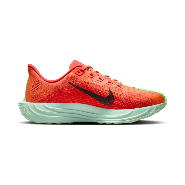 nike-air-pegasus FQ7261-600