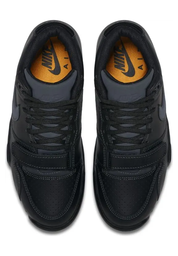 air-jordan-trainer-1 317554-004