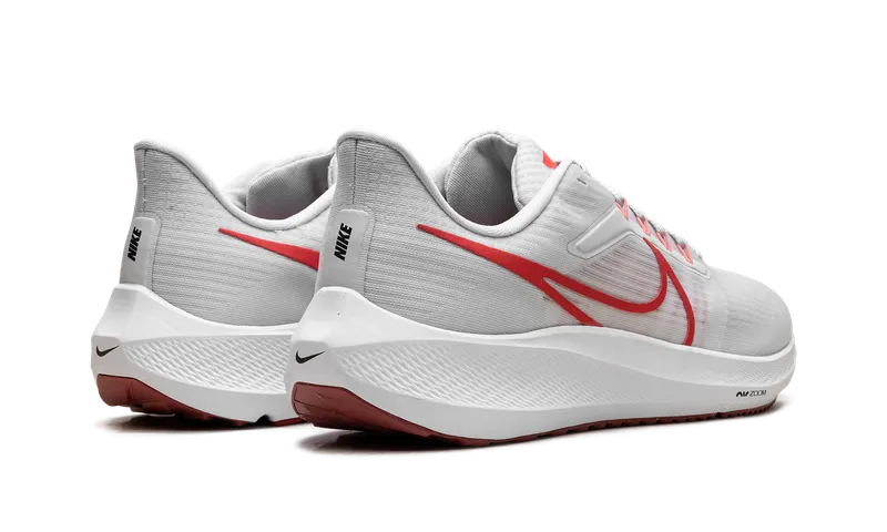 Nike Air Zoom Pegasus 39 “Platinum / Crimson” (DH4071-009)