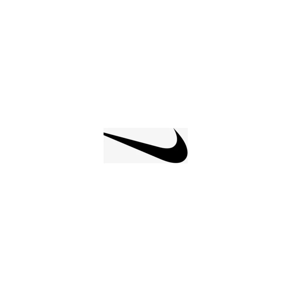 Nike Court Borough Low 2 Photon Dust Off Noir (GS) (BQ5448-005)