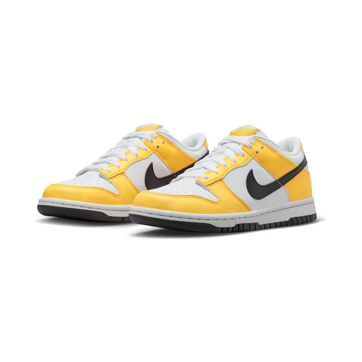 nike-dunk FN3807-800