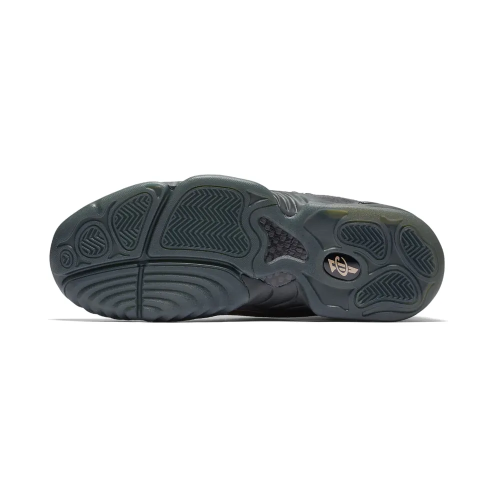 Nike Air Penny IV Copper Wolf Grey/Anthracite-Metallic Copper Coin (864018-002)