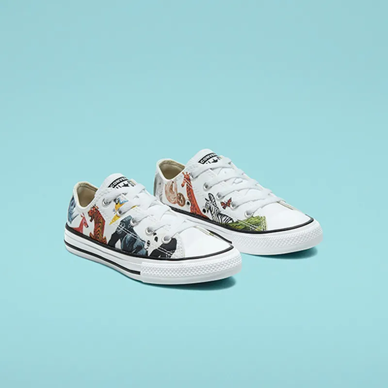 Converse Big Science Class Chuck Taylor All Star Low Top (668462C)