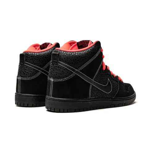 nike-dunk 305050-066