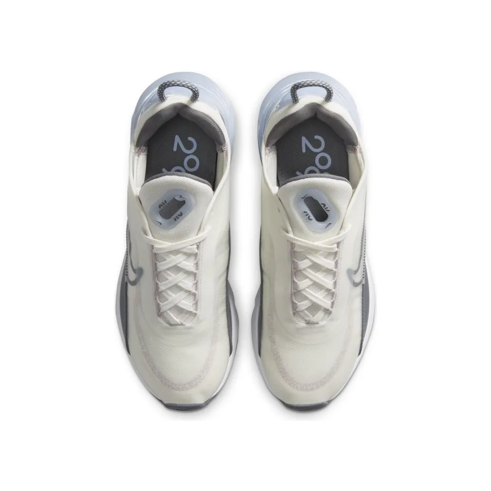 Nike Air Max 2090 Sail Ghost (W) Sail/Ghost-Barely Rose-Cool Grey (CT1290-101)