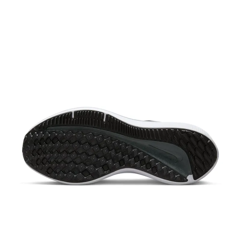 Nike Air Winflo 10 Anthracite Metallic Gold (DV4023-005)
