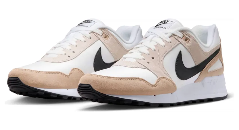 nike-air-pegasus FN3414-100