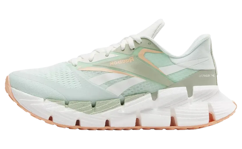 Reebok FloatZig 100206-598