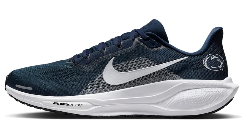 Nike Air Zoom IB3258-400