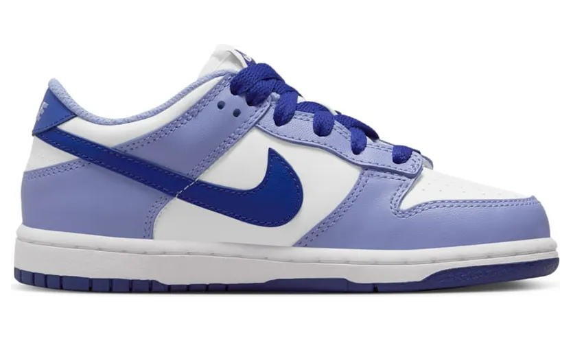 nike-dunk DZ4457-100