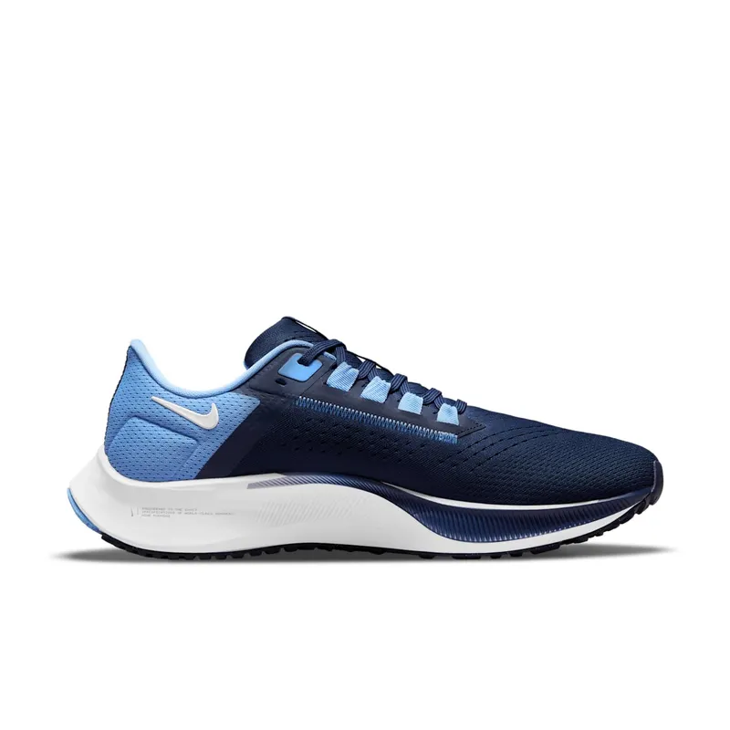 Nike Air Zoom Pegasus 38 UNC (DJ0860-400)