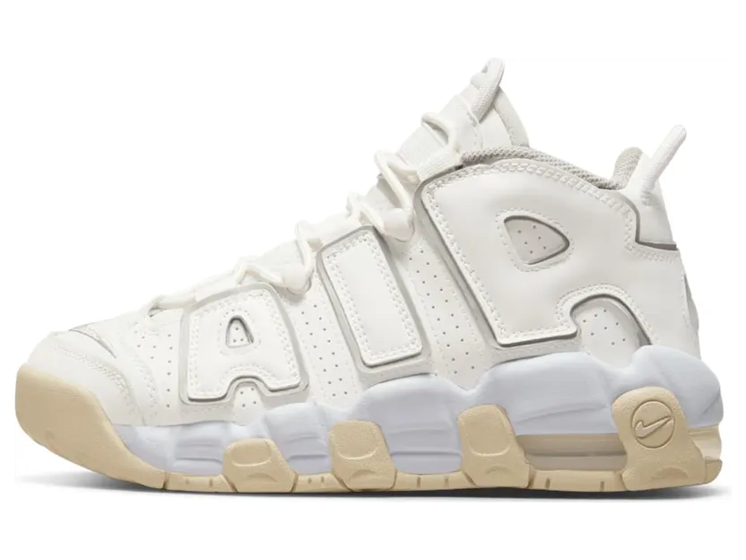 Nike Air More Uptempoen Grijs (DM1023-001)