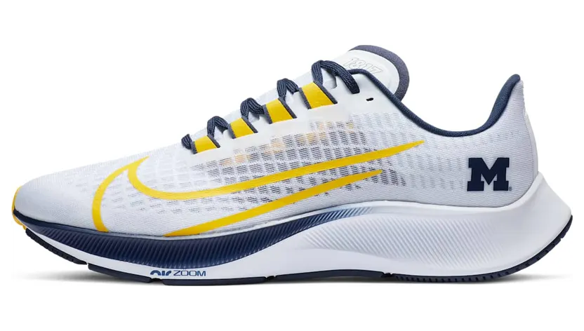 nike-air-zoom CZ5384-100