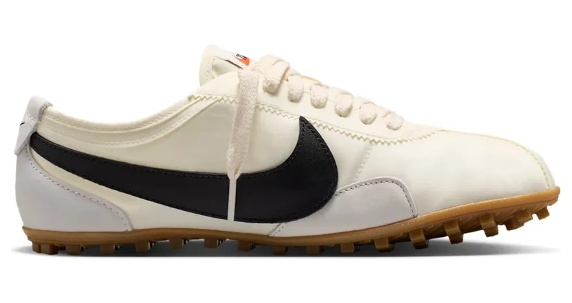 nike-moon-shoe IW0955-101