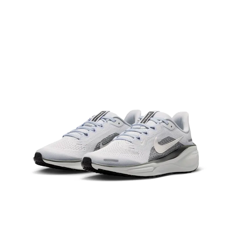 Nike Pegasus Pure Platinum/Anthracite/Light Silver/Sail (FN5041-006)
