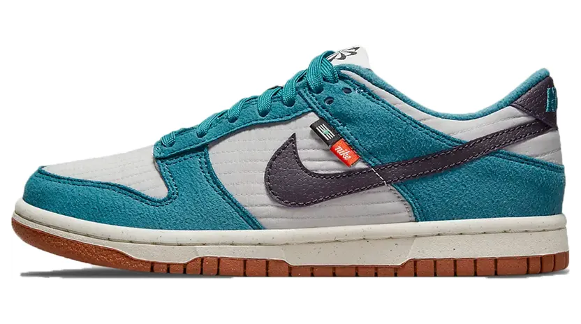 nike-dunk DC9561-400