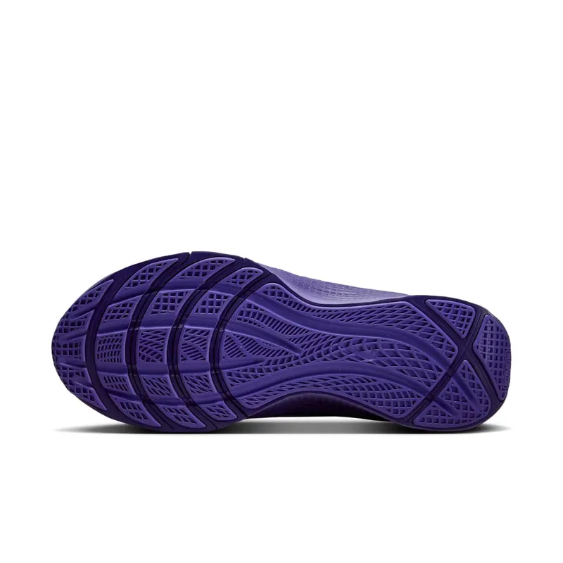 Nike LeBron TR 1 Purple Rain (FJ6151-500)