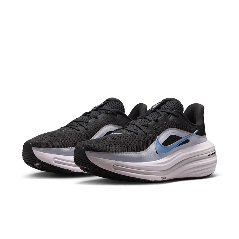 Nike Winflo 12 Grey (HV9273-005)