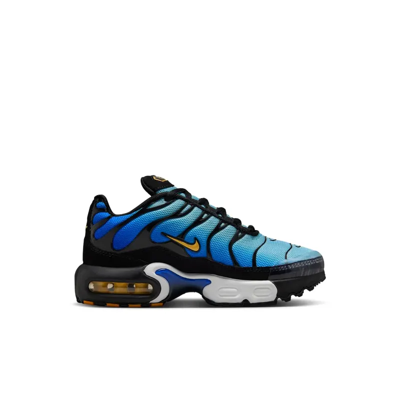 Nike Air Max Plus Hyper Blue (FZ0023-032)