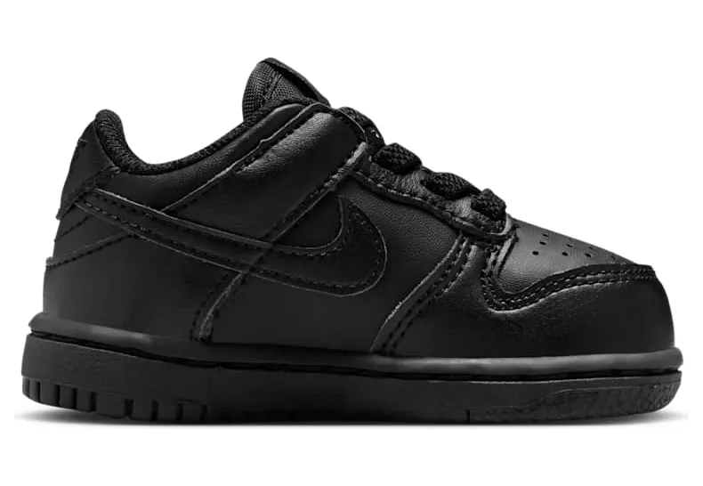 nike-dunk IU7767-009