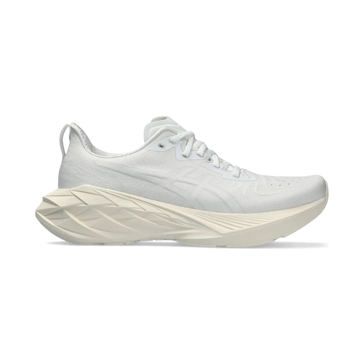 asics-novablast 1011B693-102