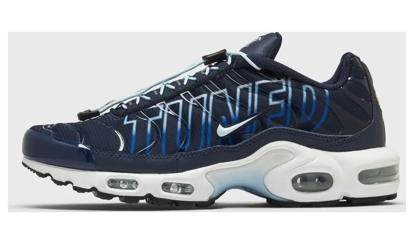 Nike Air Max Plus Tuned Air Obsidian