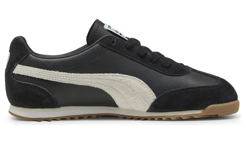 puma-arizona 402353_01