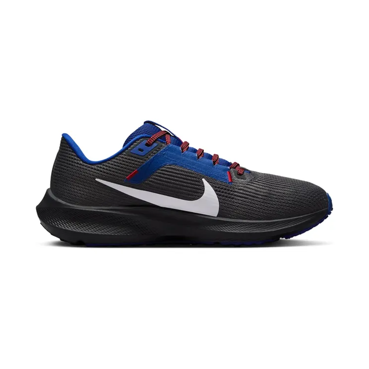 nike-air-pegasus DZ6008-001