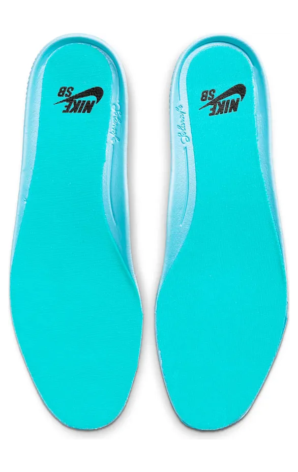 nike-sb-charge CN5269-602