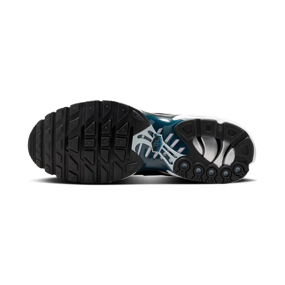 Nike Air Max Plus Pure Platinum Court Blue (FN6949-001)