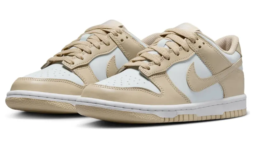 nike-dunk FB9109-200