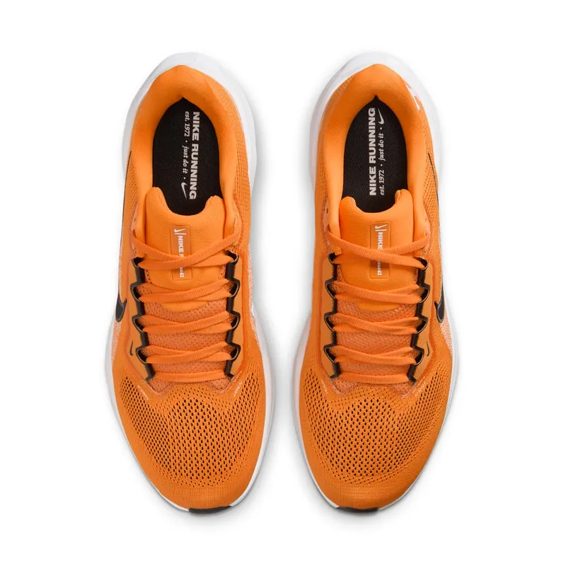 Nike Air Zoom Pegasus 41 Tennessee Volunteers (IB3253-800)