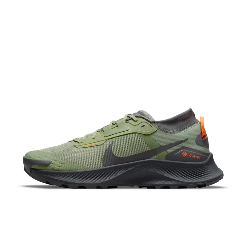 Nike Pegasus Trail 3 GORE-TEX Trail Running Green (DO6728-300)