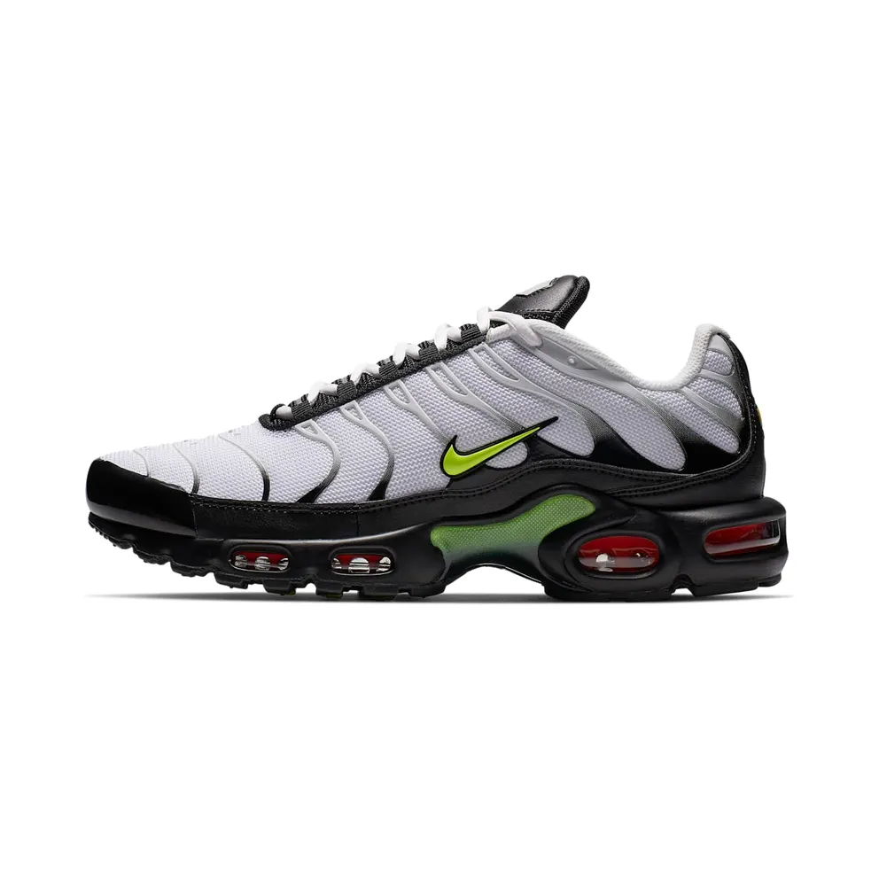 Nike Air Max Plus Retro Future (AJ2013-100)