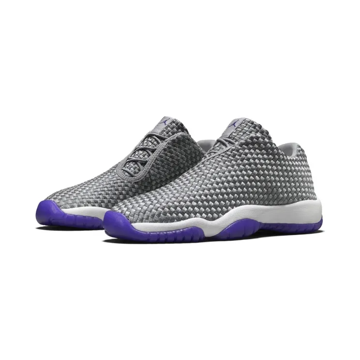Jordan Future Low Wolf Grey Court Purple (GS)