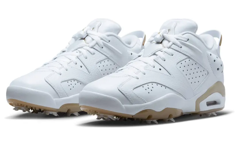 air-jordan-6 DV1376-100