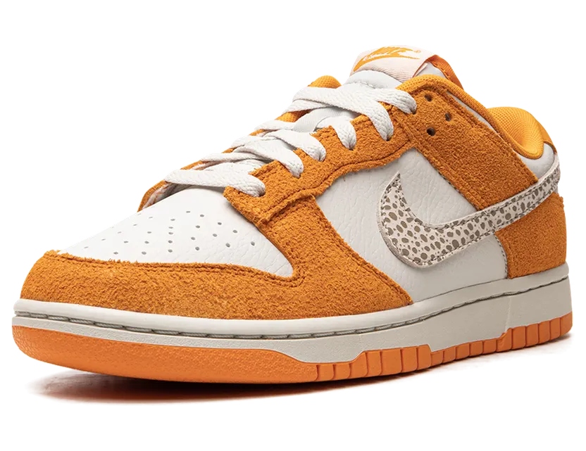 nike-dunk DR0156-800