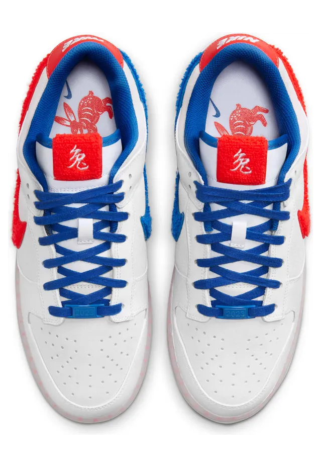 nike-dunk FD4203-161