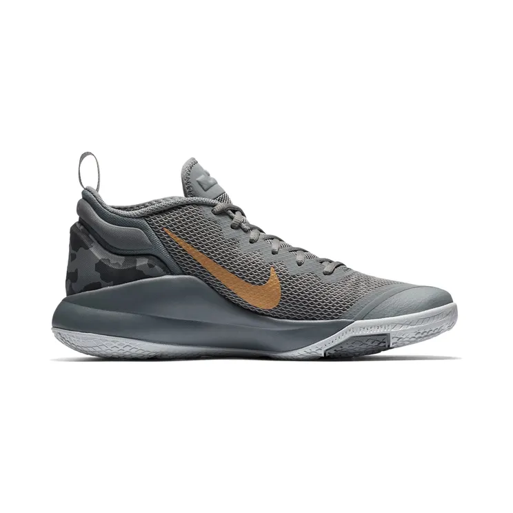 lebron-witness-2 942518-009