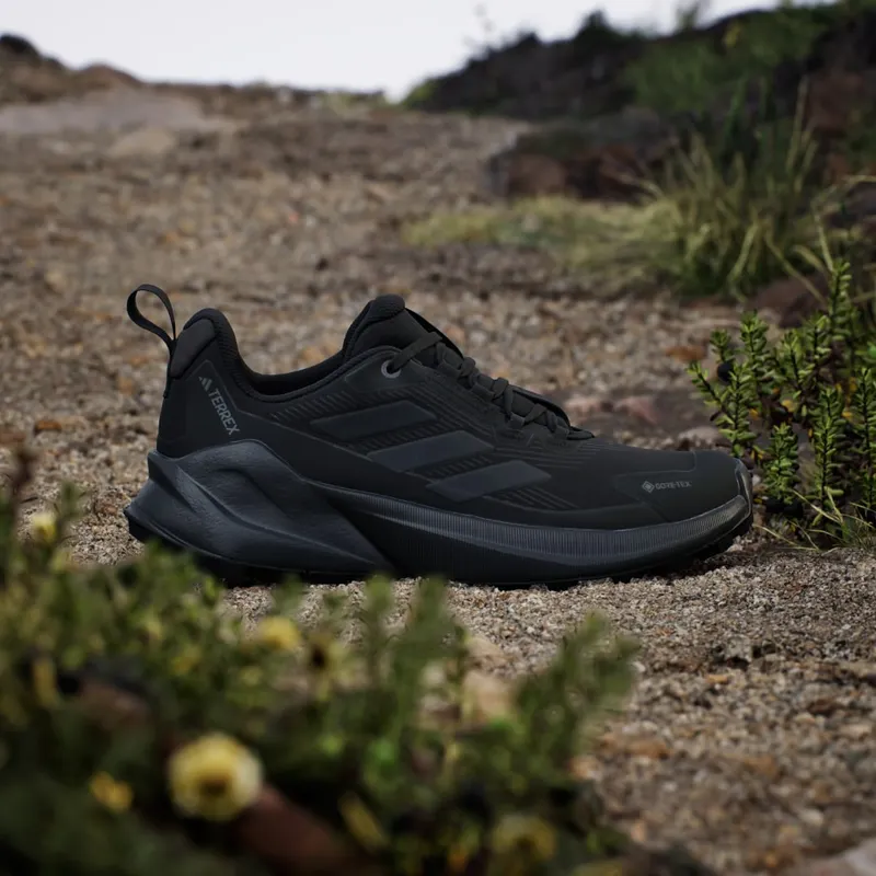 Adidas Terrex Trailmaker 2.0 GORE-TEX Hiking Core Black / Grey Four / Carbon (IH0617)