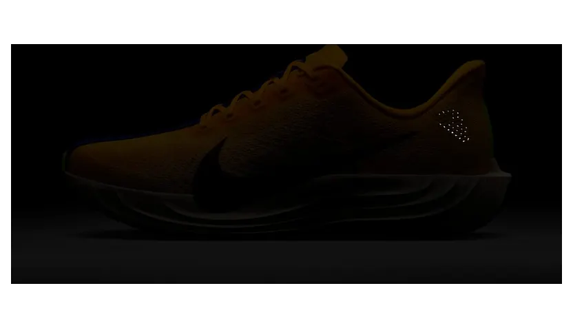 nike-air-pegasus FQ7262-801